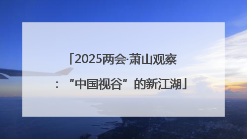 2025两会·萧山观察：“中国视谷”的新江湖