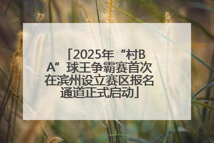2025年“村BA”球王争霸赛首次在滨州设立赛区报名通道正式启动