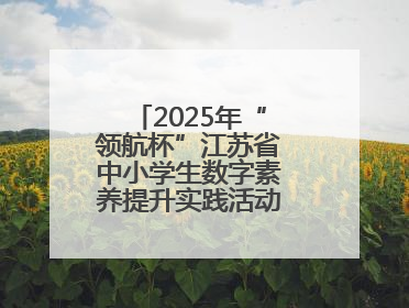 2025年“领航杯”江苏省中小学生数字素养提升实践活动在连云港举行