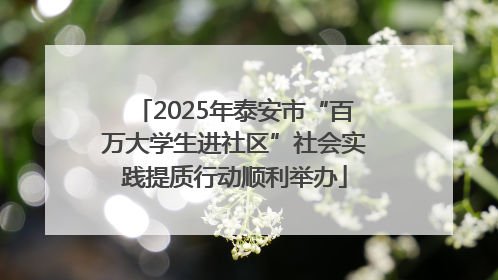 2025年泰安市“百万大学生进社区”社会实践提质行动顺利举办