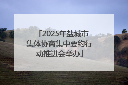 2025年盐城市集体协商集中要约行动推进会举办