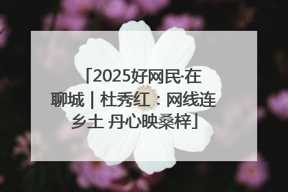 2025好网民·在聊城｜杜秀红：网线连乡土 丹心映桑梓