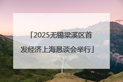 2025无锡梁溪区首发经济上海恳谈会举行