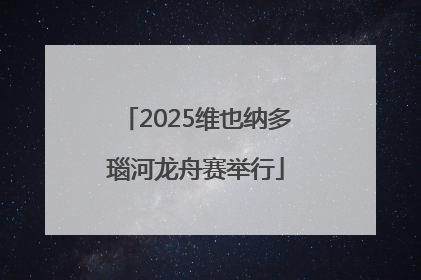 2025维也纳多瑙河龙舟赛举行
