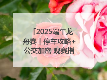 2025端午龙舟赛｜停车攻略+公交加密 观赛指南来了！
