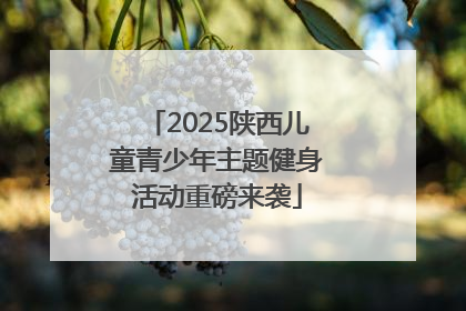 2025陕西儿童青少年主题健身活动重磅来袭