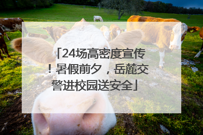 24场高密度宣传！暑假前夕，岳麓交警进校园送安全