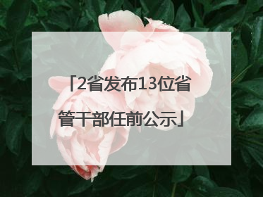 2省发布13位省管干部任前公示