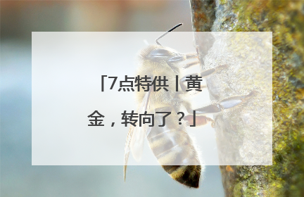 7点特供丨黄金，转向了？