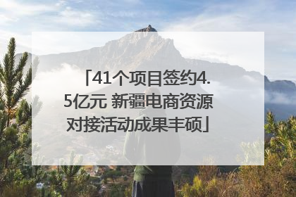41个项目签约4.5亿元 新疆电商资源对接活动成果丰硕