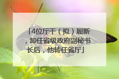 4位厅干（拟）履新，卸任省级政府副秘书长后，他转任省厅