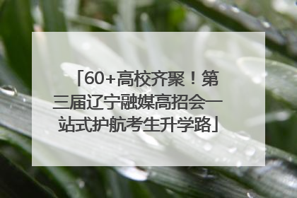 60+高校齐聚！第三届辽宁融媒高招会一站式护航考生升学路
