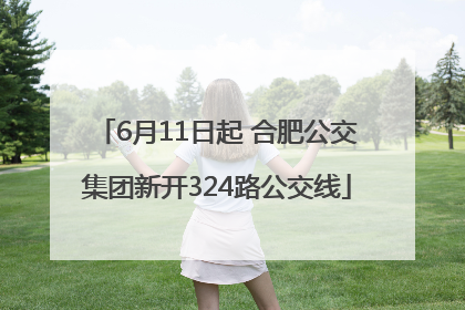 6月11日起 合肥公交集团新开324路公交线