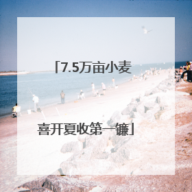 7.5万亩小麦喜开夏收第一镰