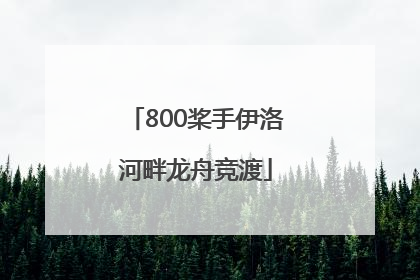 800桨手伊洛河畔龙舟竞渡