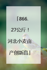 866.27公斤！河北小麦亩产创新高