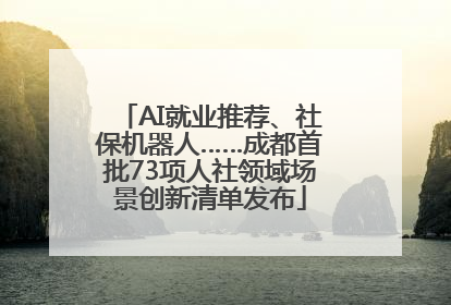 AI就业推荐、社保机器人……成都首批73项人社领域场景创新清单发布