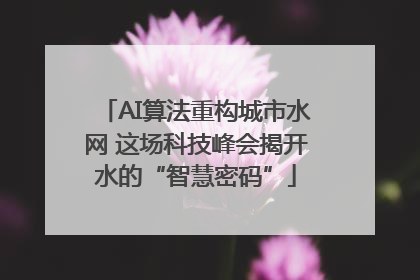 AI算法重构城市水网 这场科技峰会揭开水的“智慧密码”