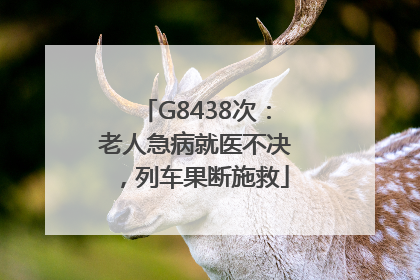 G8438次：老人急病就医不决，列车果断施救