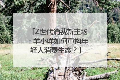 Z世代消费新主场：羊小咩如何重构年轻人消费生态？
